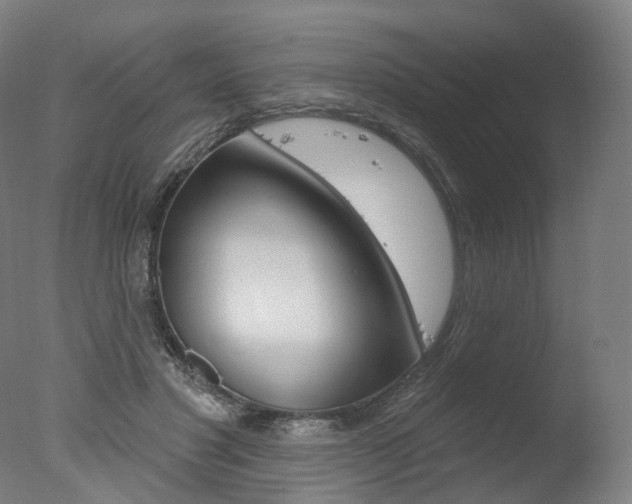 X0000077370501200610201018