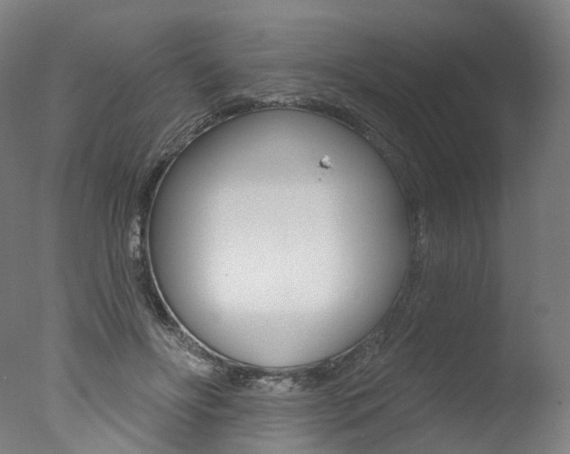 X0000077370502200610201018