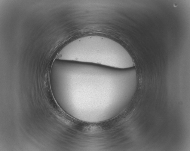 X0000077370503200610201018