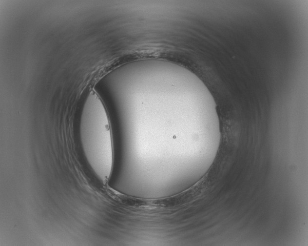 X0000077370504200610201018