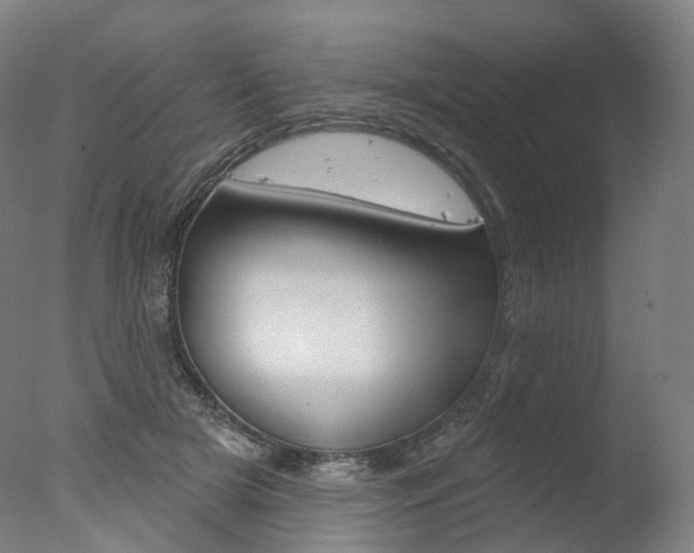 X0000077370505200610201018