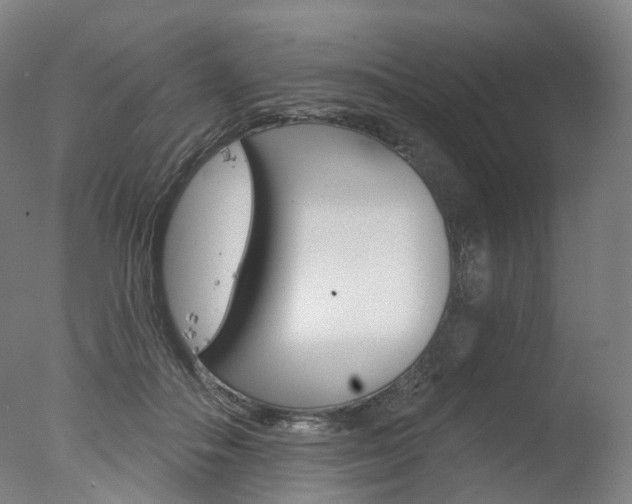 X0000077370506200610201018