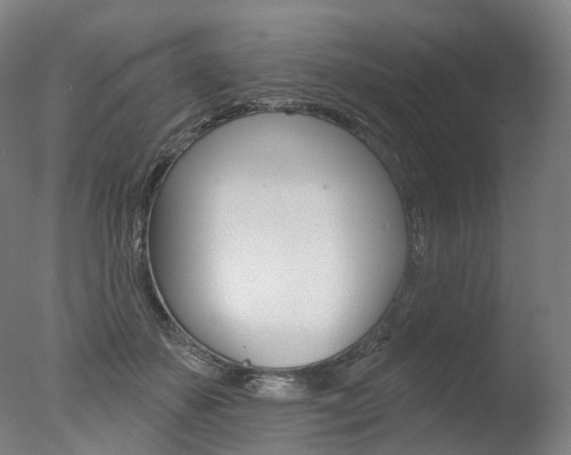 X0000077370507200610201018