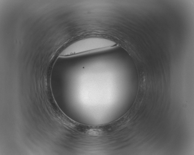 X0000077370508200610201018