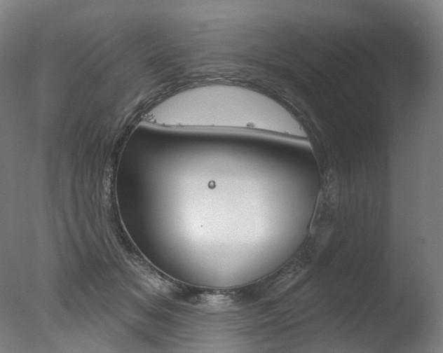 X0000077370509200610201018