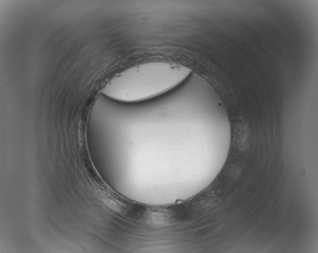 X0000077370510200610201018