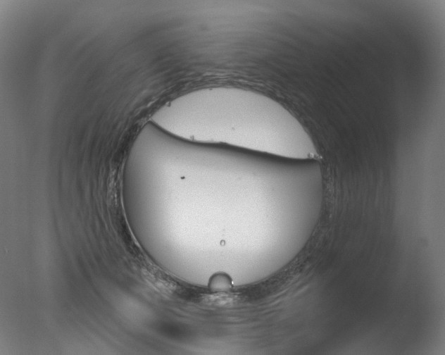 X0000077370511200610201018