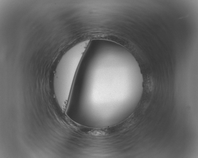 X0000077370512200610201018