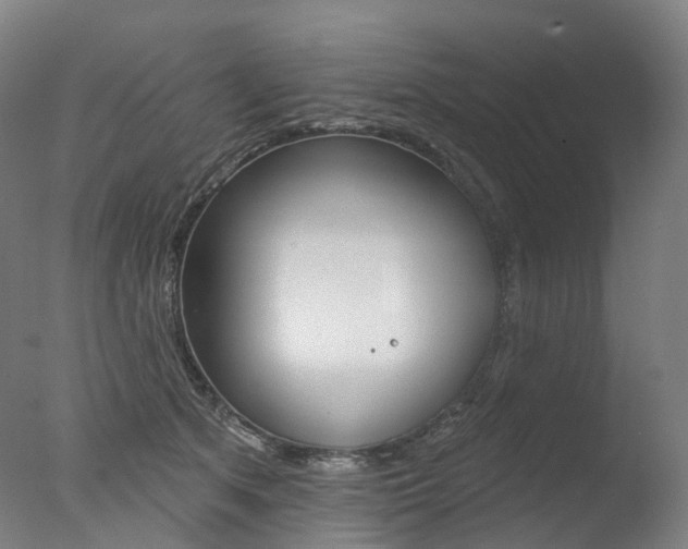 X0000077370513200610201018