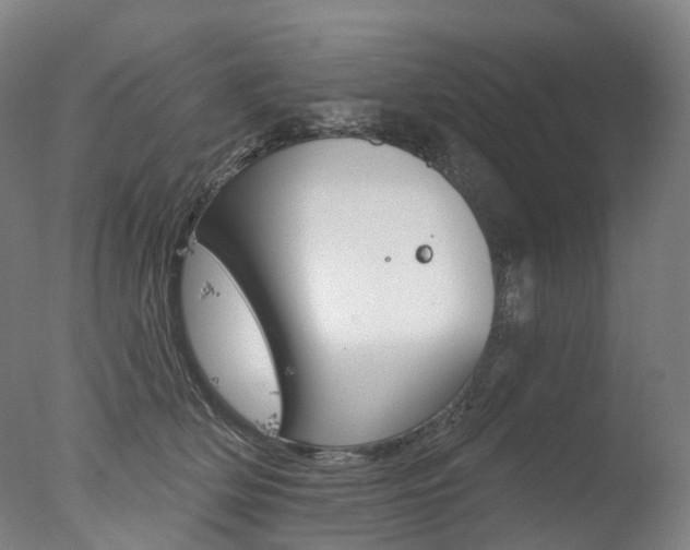 X0000077370514200610201018