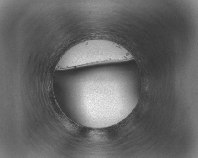 X0000077370515200610201018