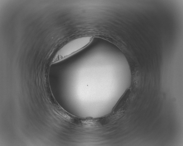 X0000077370516200610201017