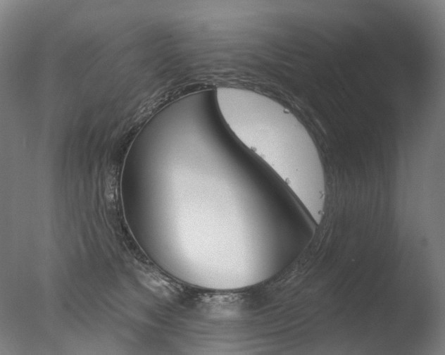 X0000077370517200610201017