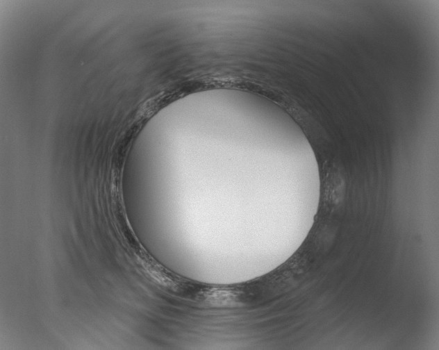 X0000077370518200610201017