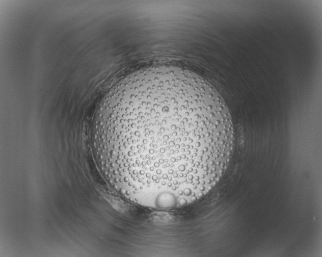 X0000077370519200610201017