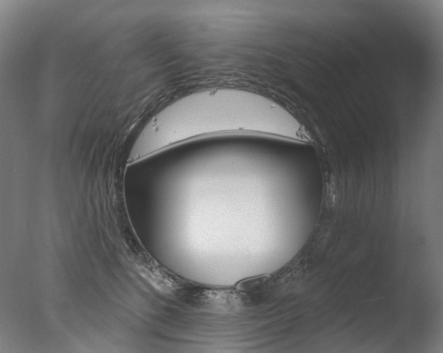 X0000077370520200610201017