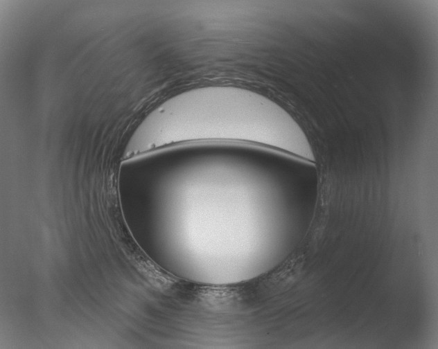 X0000077370521200610201017