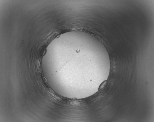 X0000077370523200610201017