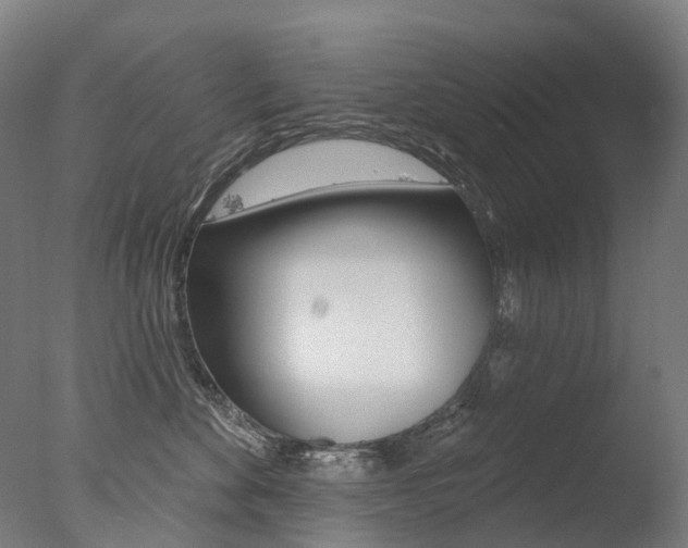 X0000077370524200610201017