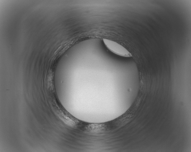 X0000077370526200610201017