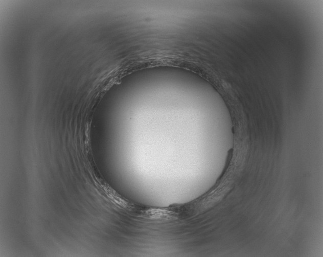 X0000077370528200610201017