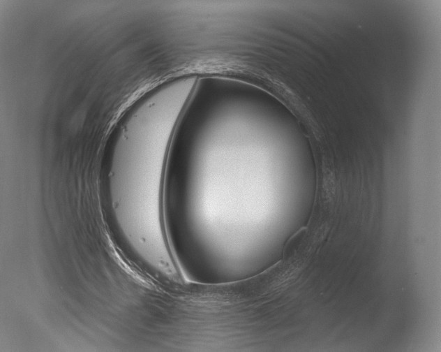 X0000077370530200610201017