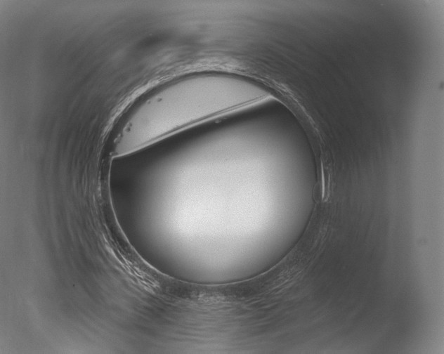 X0000077370531200610201017