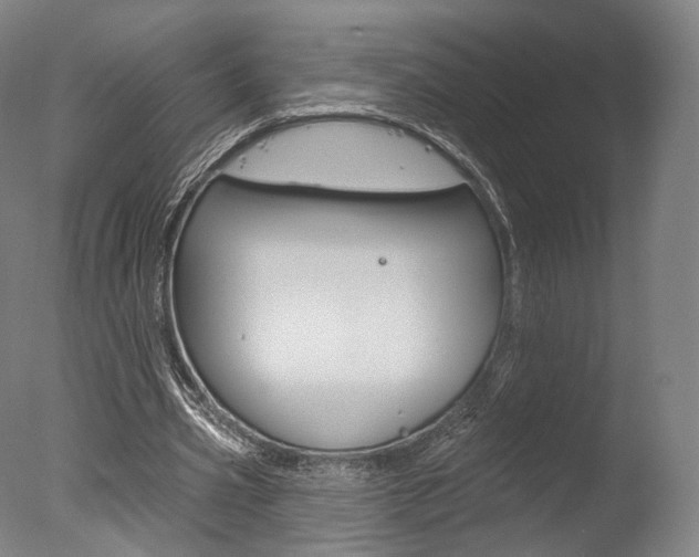 X0000077370533200610201017