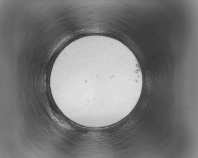 X0000077370534200610201017