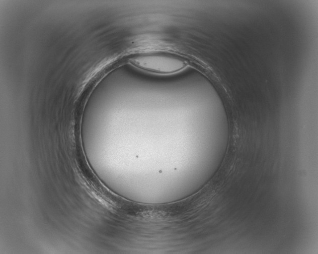 X0000077370535200610201017