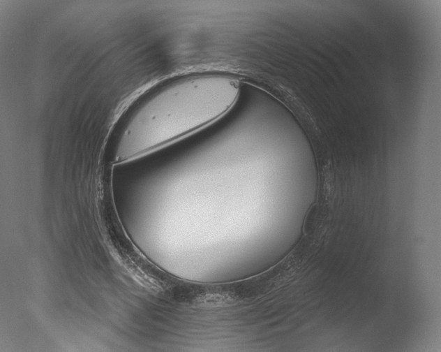 X0000077370536200610201017