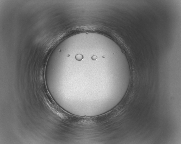 X0000077370537200610201017