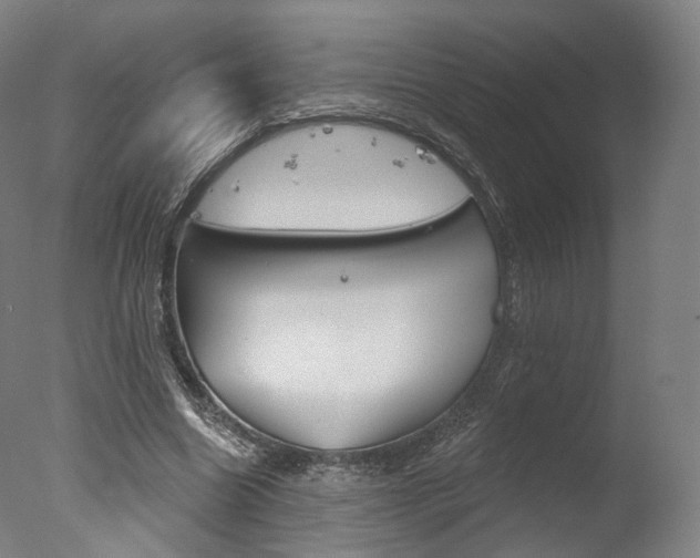 X0000077370538200610201017