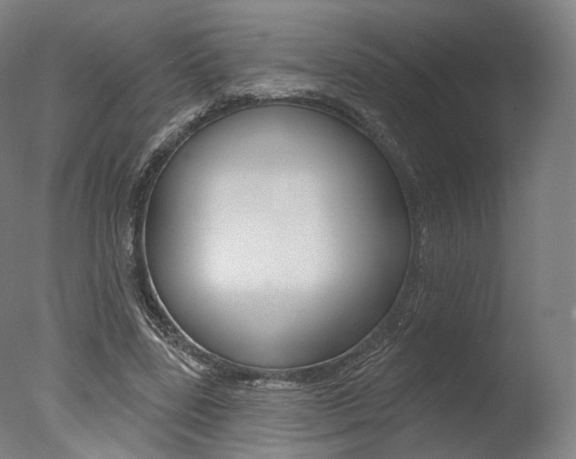 X0000077370539200610201017