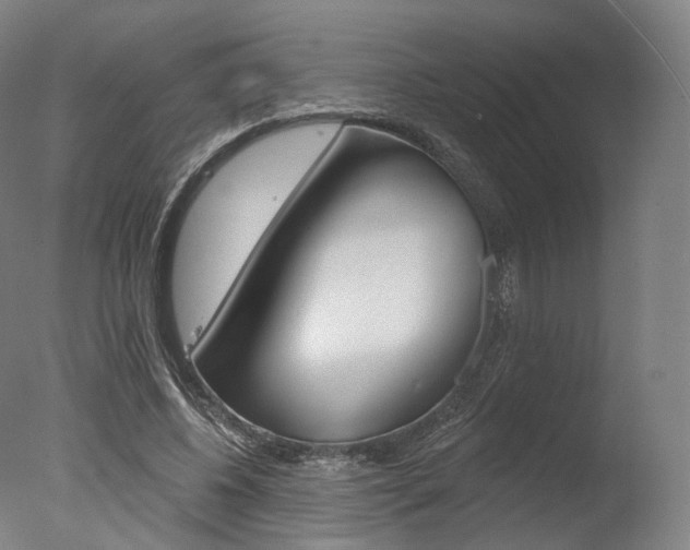 X0000077370540200610201017