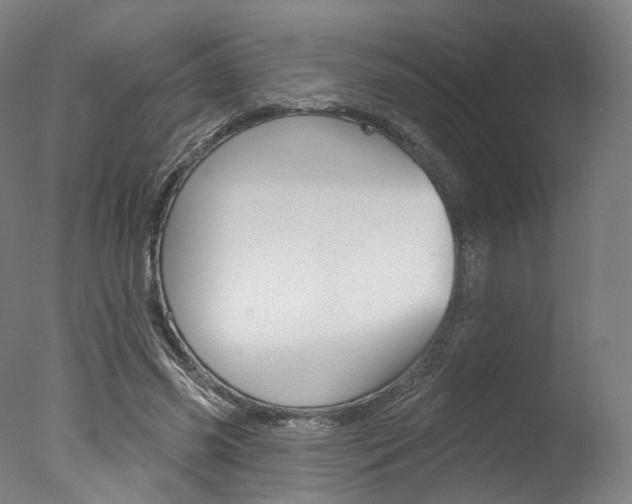 X0000077370541200610201017