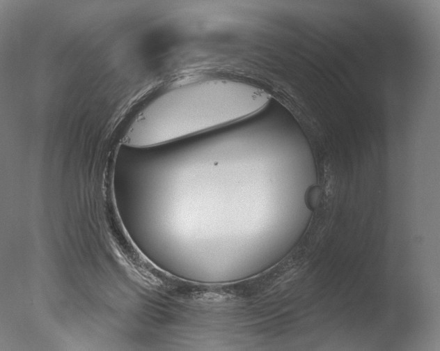 X0000077370542200610201017