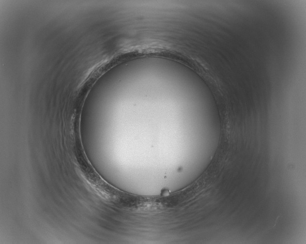 X0000077370543200610201017