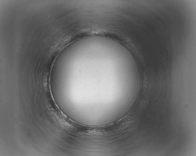 X0000077370545200610201017