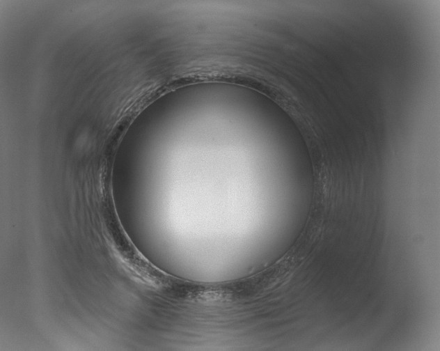 X0000077370546200610201017