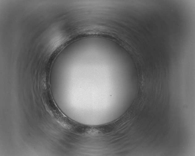 X0000077370547200610201017