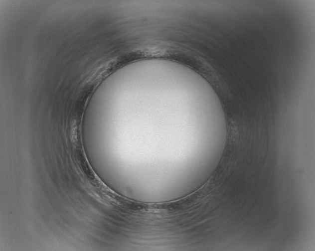 X0000077370549200610201017