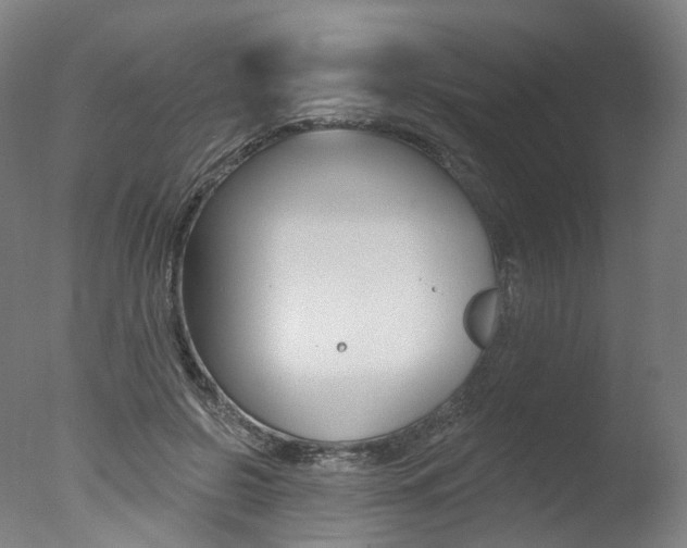 X0000077370550200610201017