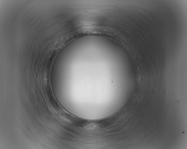 X0000077370551200610201017