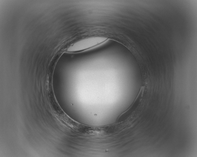 X0000077370552200610201017