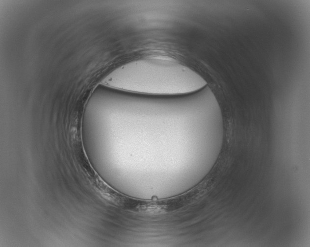 X0000077370553200610201017