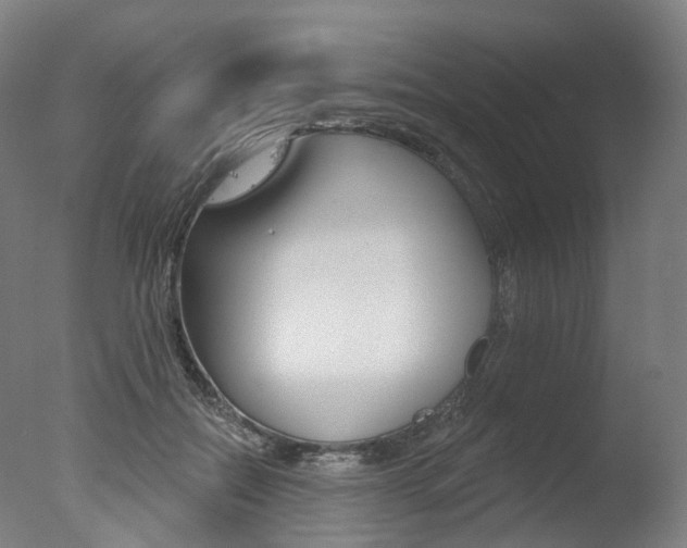 X0000077370554200610201017