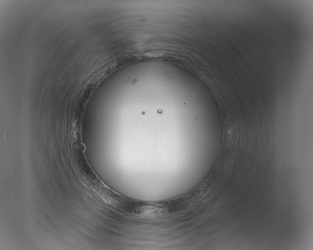 X0000077370555200610201017