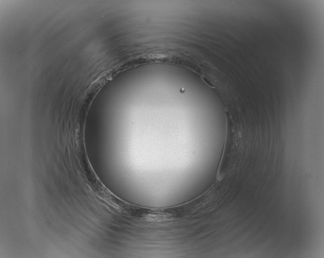 X0000077370556200610201017