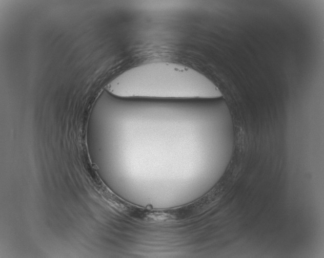 X0000077370557200610201017